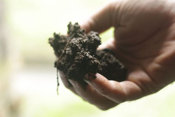 Biodynamic Wine Preparation 500 Biodynamic Wine Preparation 500