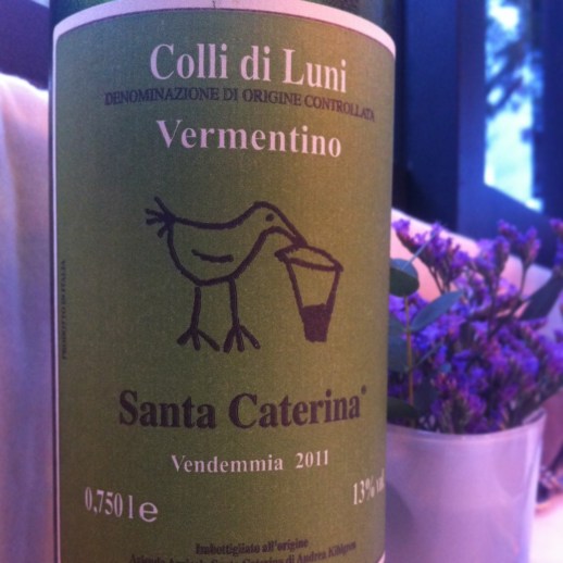 Santa Caterina Vermentino 2011