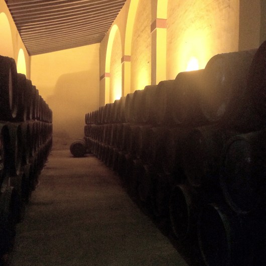 Fernando de Castilla